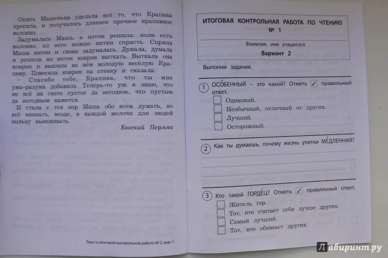 Годовая контрольная работа по литературному чтению. Итоговая контрольная по чтению 2 класс школа России. Итоговая контрольная работа по чтению 3 класс школа России. Контрольная работа по литературному чтению 2 класс школа России. Итоговая контрольная работа по чтению 2 класс школа России.