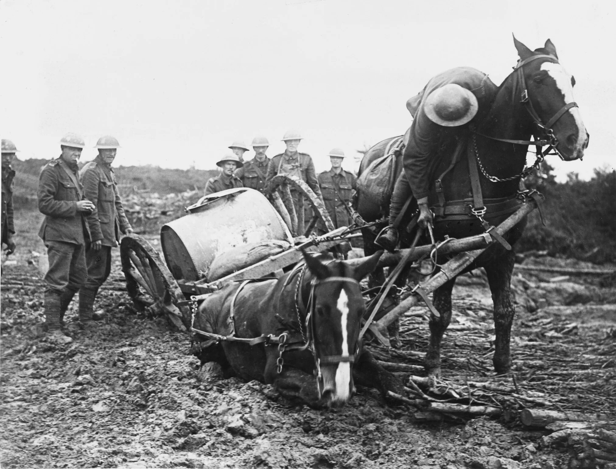 Лошади в годы войны 1941-1945. Конная артиллерия в Великой Отечественной войне 1941. Лошади на войне. Лошади в Великой Отечественной войне.