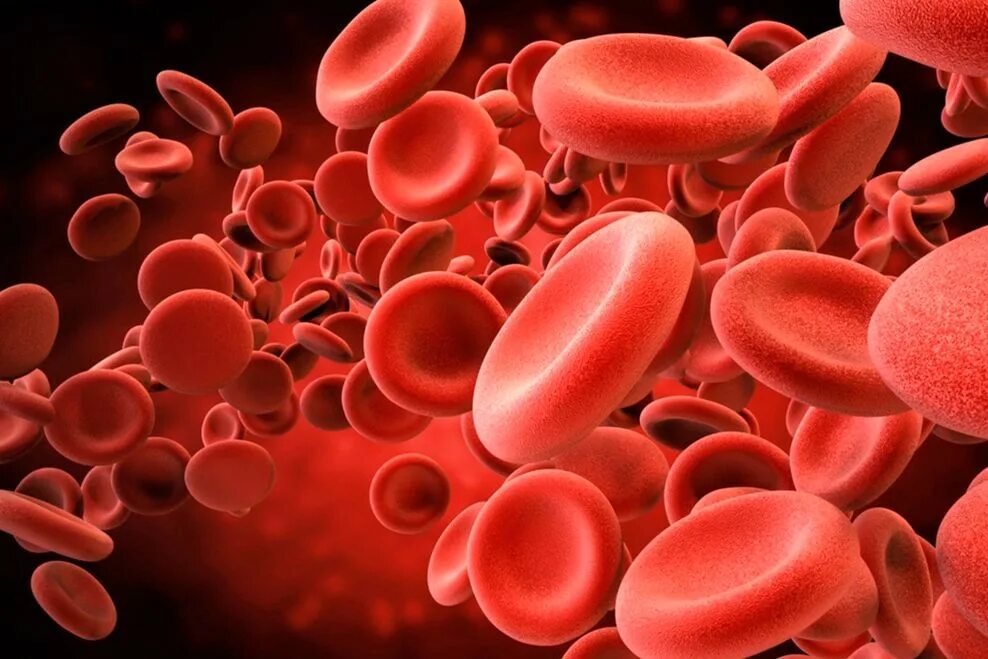 Эритроциты. Клетки крови. Красные клетки крови. Молекула крови.
