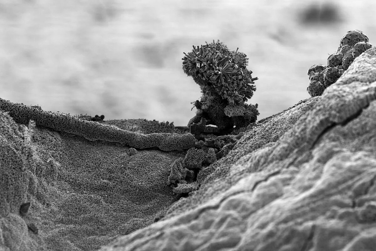 музей невидимка. невидимый мир фильм 2020. невидимый мир фильм бельгия. невидимый 2007. невидимый мир / playground / un monde (2021).