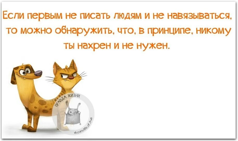Постоянно все раздражает что делать. Цитаты про раздражающих людей. бесят люди цитаты. если человек раздражает. выражения про тупых людей.