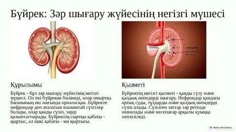 Жоғарыдан келген порно куннилингус