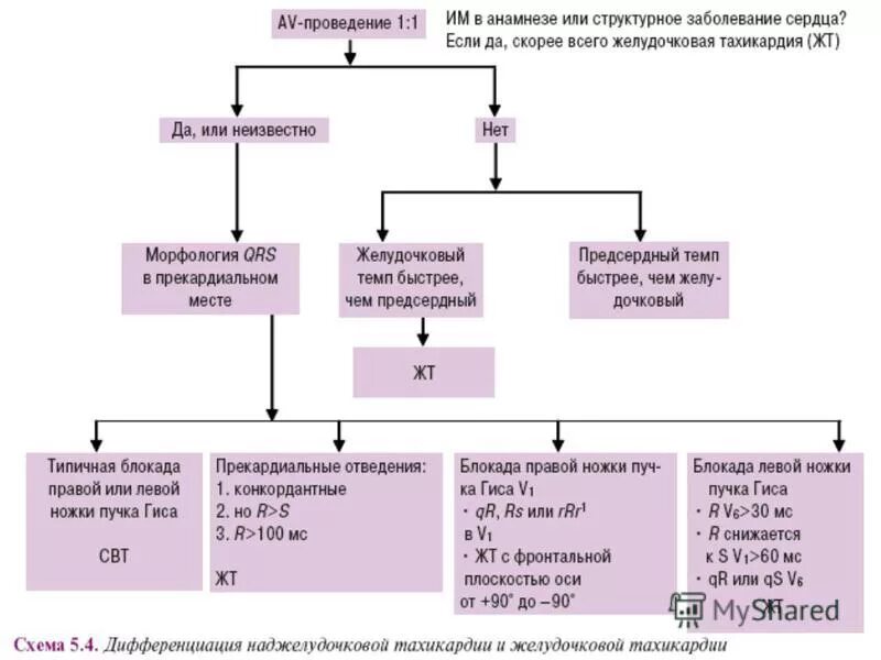 Тахикардия с широкими комплексами qrs дифференциальная диагностика. Дифференциальная диагностика тахикардий с широкими комплексами. Дифференциальная диагностика тахикардии с узкими комплексами qrs. Тахикардия с широкими комплексами qrs. Тахикардия с широкими комплексами дифференциальный диагноз.