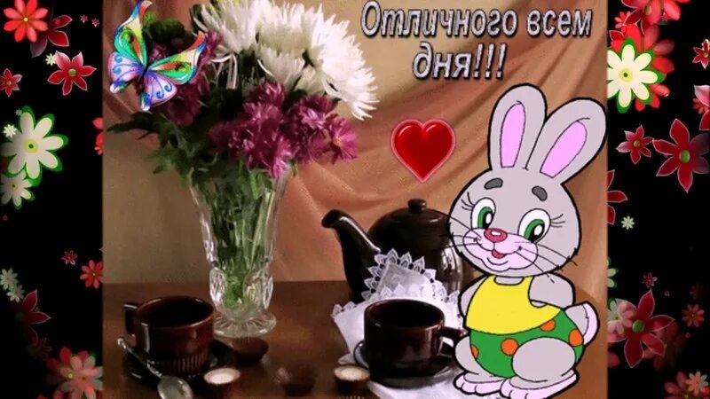 Тик ток с добрым утром музыкальные. Видеоролики с добрым утром для ватсапа. Тик ток пожелание доброго дня. Тик ток пожелания доброго утра. Хорошего дня видеоролик.