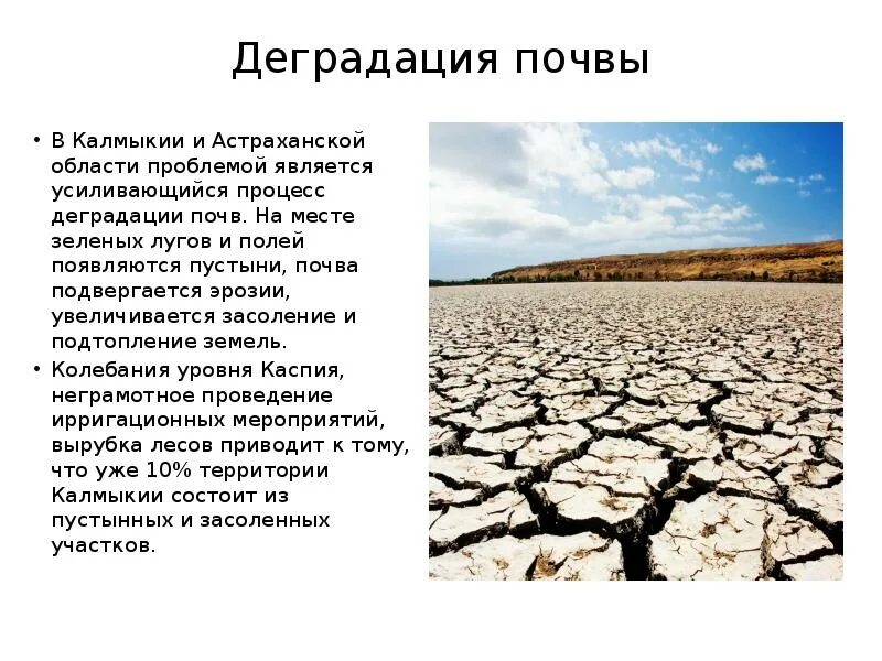 Засоление почв Астраханской области. Засоление почв в Калмыкии. Деградация почвы в Калмыкии. Деградация сельскохозяйственных земель.