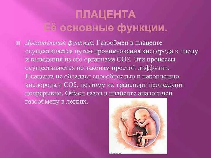 Плацента пуповина околоплодные воды. Функции пуповины при беременности. Роль плаценты в развитии эмбриона. Амниотическая оболочка пуповины.