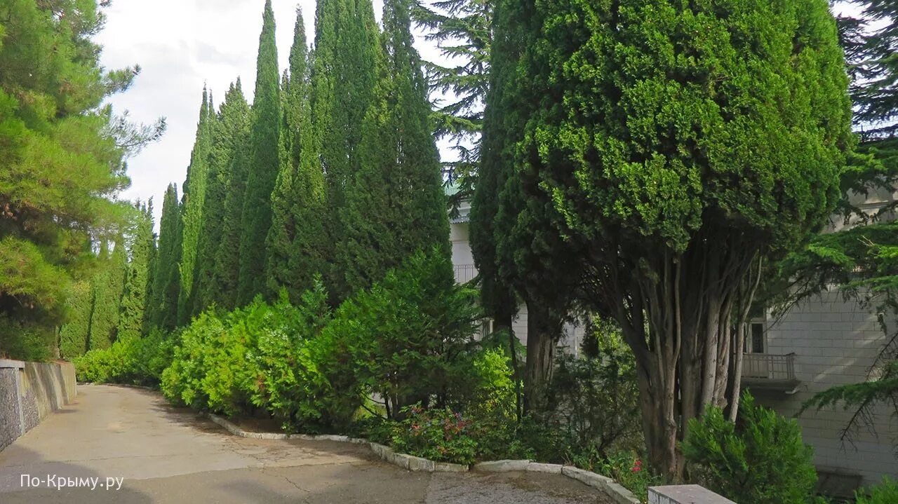 Дача бекетова. Дача бекетова в алуште. музей бекетова в алуште. дом музей бекетова в алуште. пансионат дача бекетова в алуште.