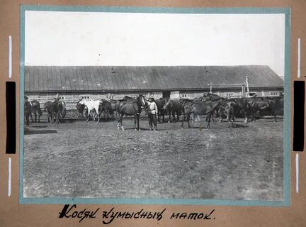 Погода в кумысолечебнице на ближайшие дни