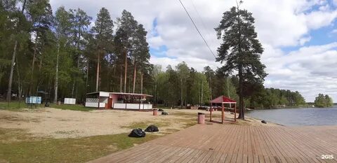 Лесная сказка балтым
