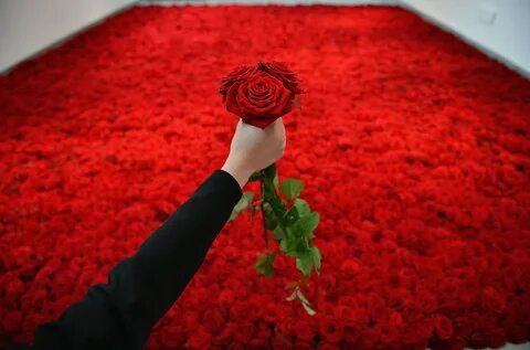 Миллион красных роз (76 фото)