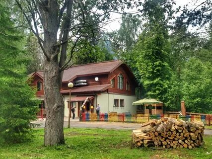 Отдых в лесном массиве