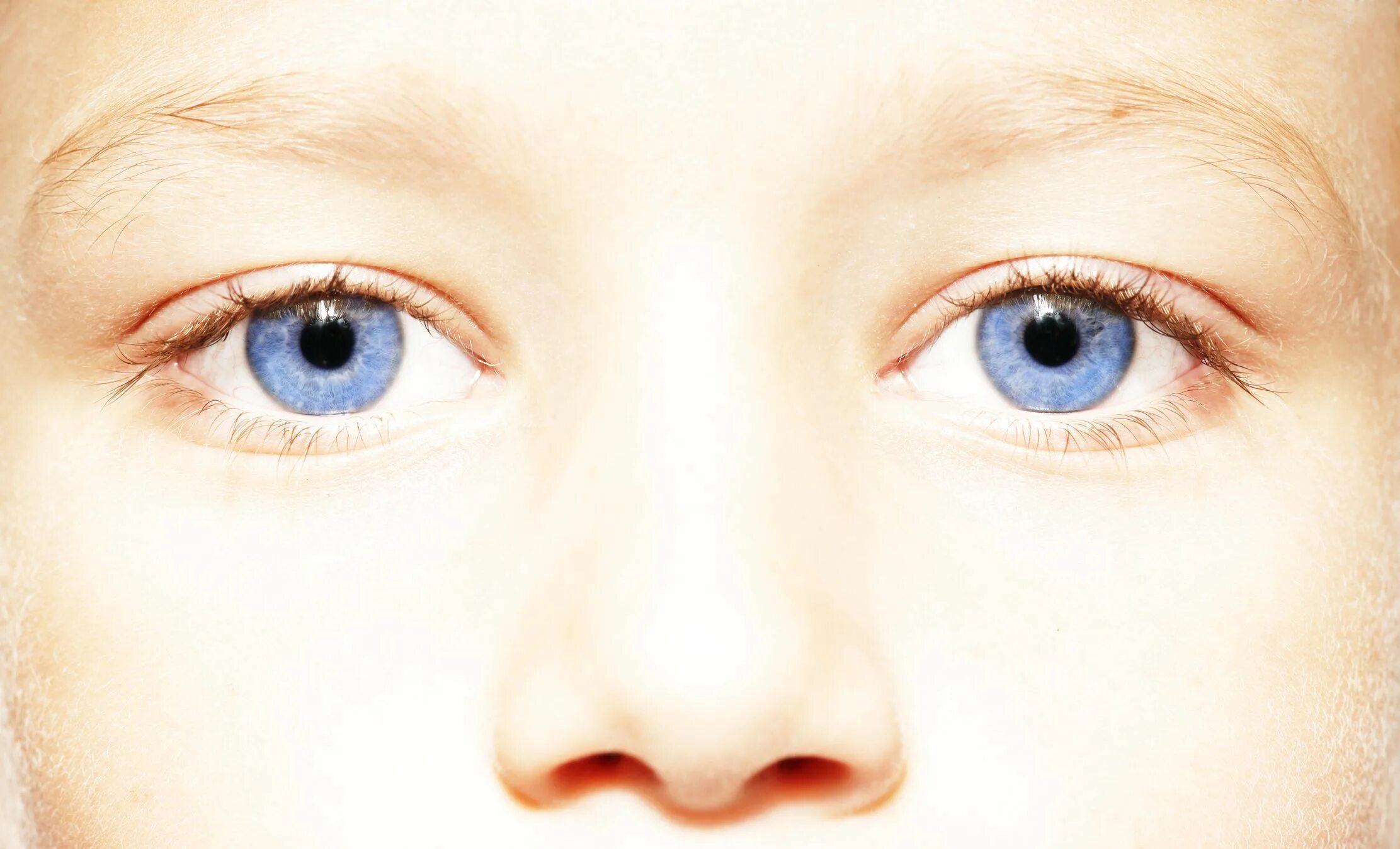 Голубоглазые родственники. Глаз человека. Голубые глаза. Детские глаза. Два глаза.