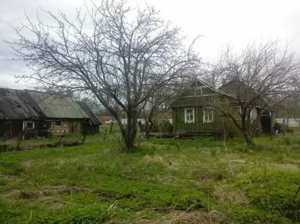 Погода в семхозе