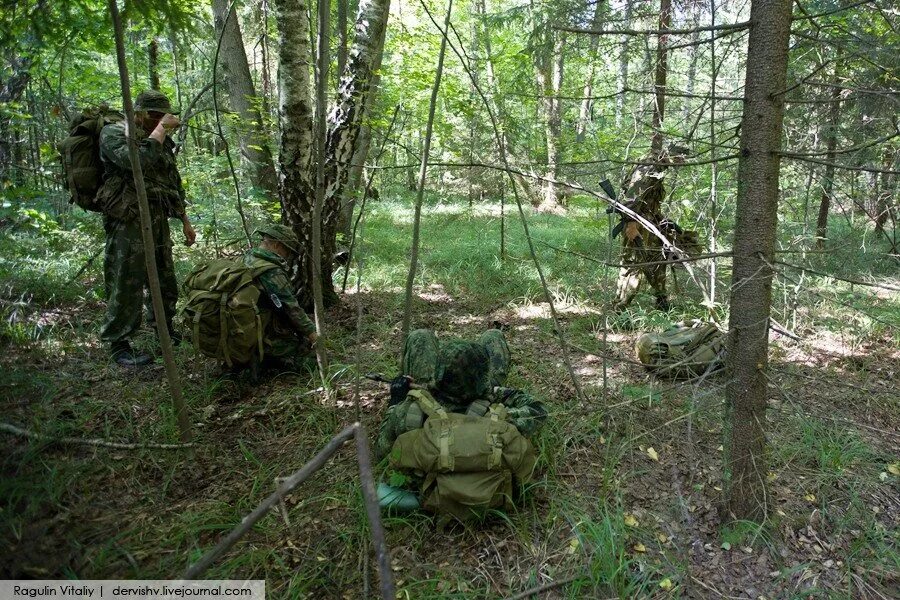 Средства ведения разведки. Разведка в лесу. Разведчики в лесу. Спецназ в лесах. Солдаты в лесу.