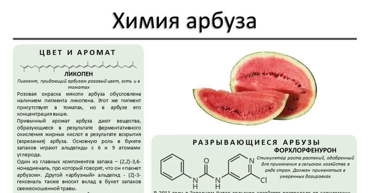 Химическое название и формула арбуза. Химия арбуза. Химическая формула арбуза. Химическая формула арьужа. Формула арбуза в химии.