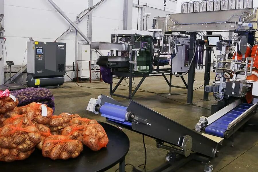 Линия упаковки овощей. Переработка фруктов. Цех по переработке овощей. Переработка овощей и фруктов. Сортировщик овощей.