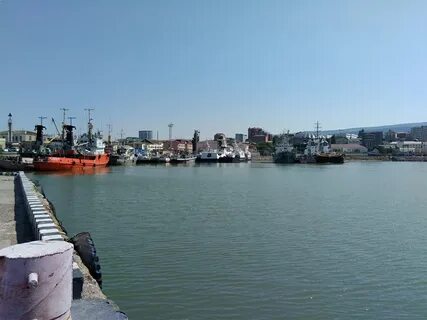 Морское дагестан