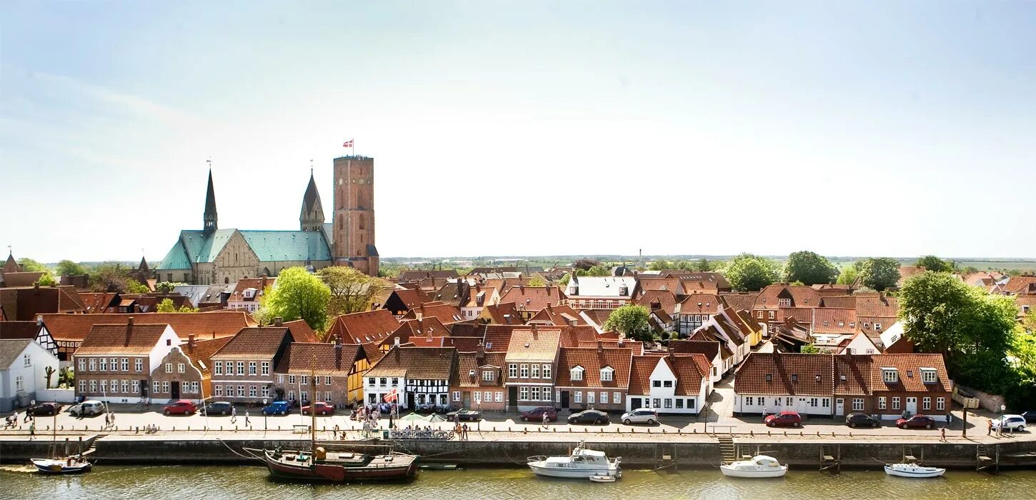 Город в дании 3. Ribe город.