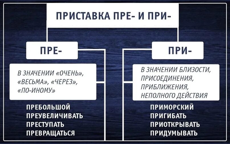 Шпаргалки для ЕГЭ по русскому. Шпаргалки по русскому языку ЕГЭ. Шпора на русский язык ЕГЭ. Шпаргалки ЕГЭ русский язык. Задание 3 огэ русский 2024 год