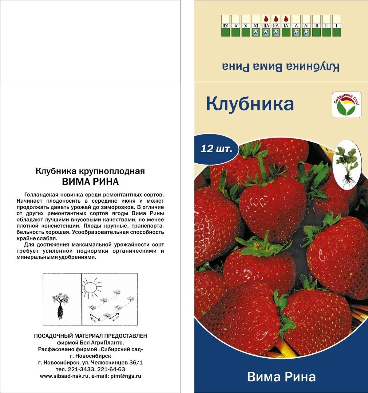 Сорта ремонтантной клубники описание