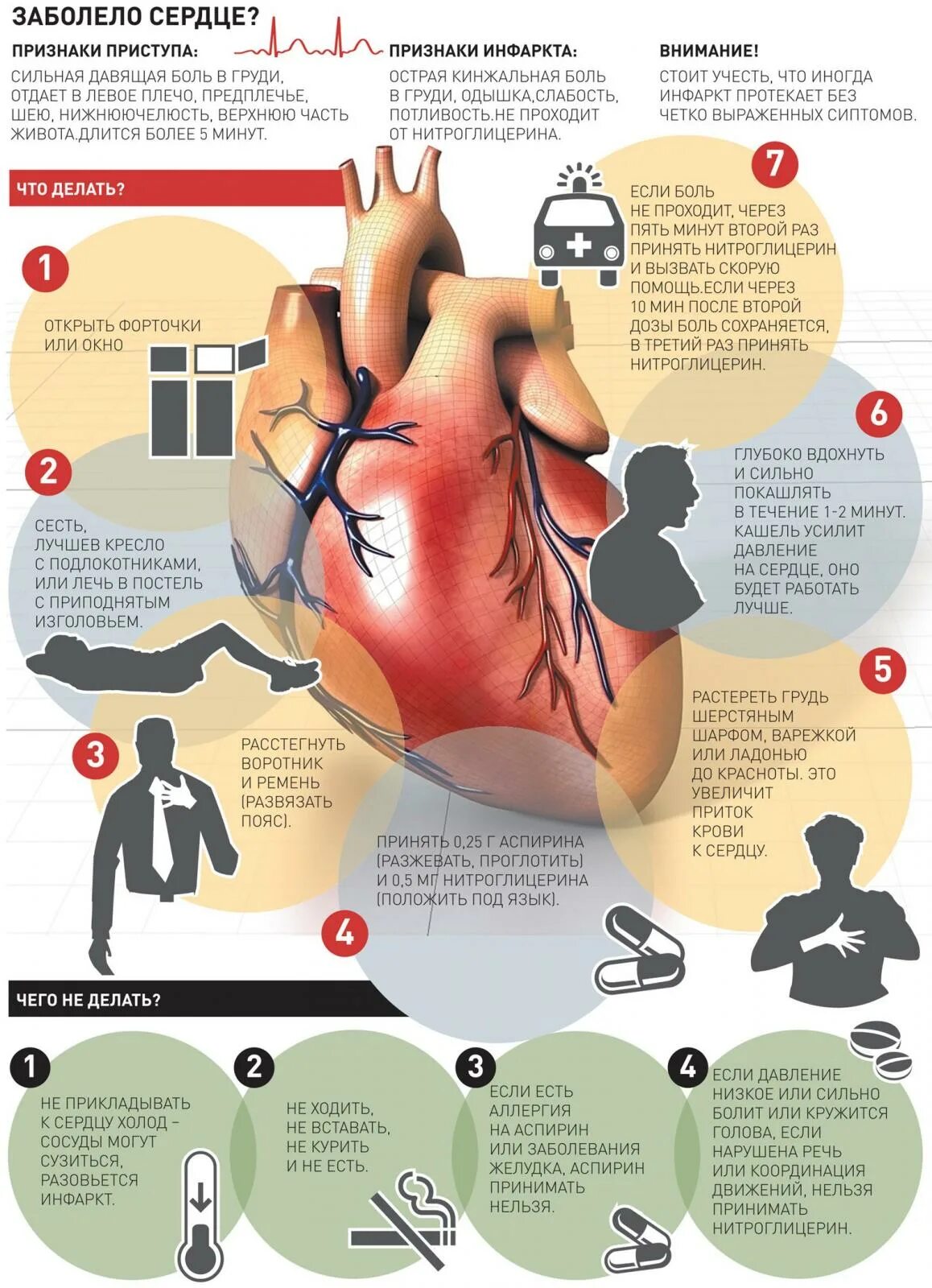 Сильные боли в области сердца. Болит сердце что делать. Сердечно сосудистые заболевания инфографика.