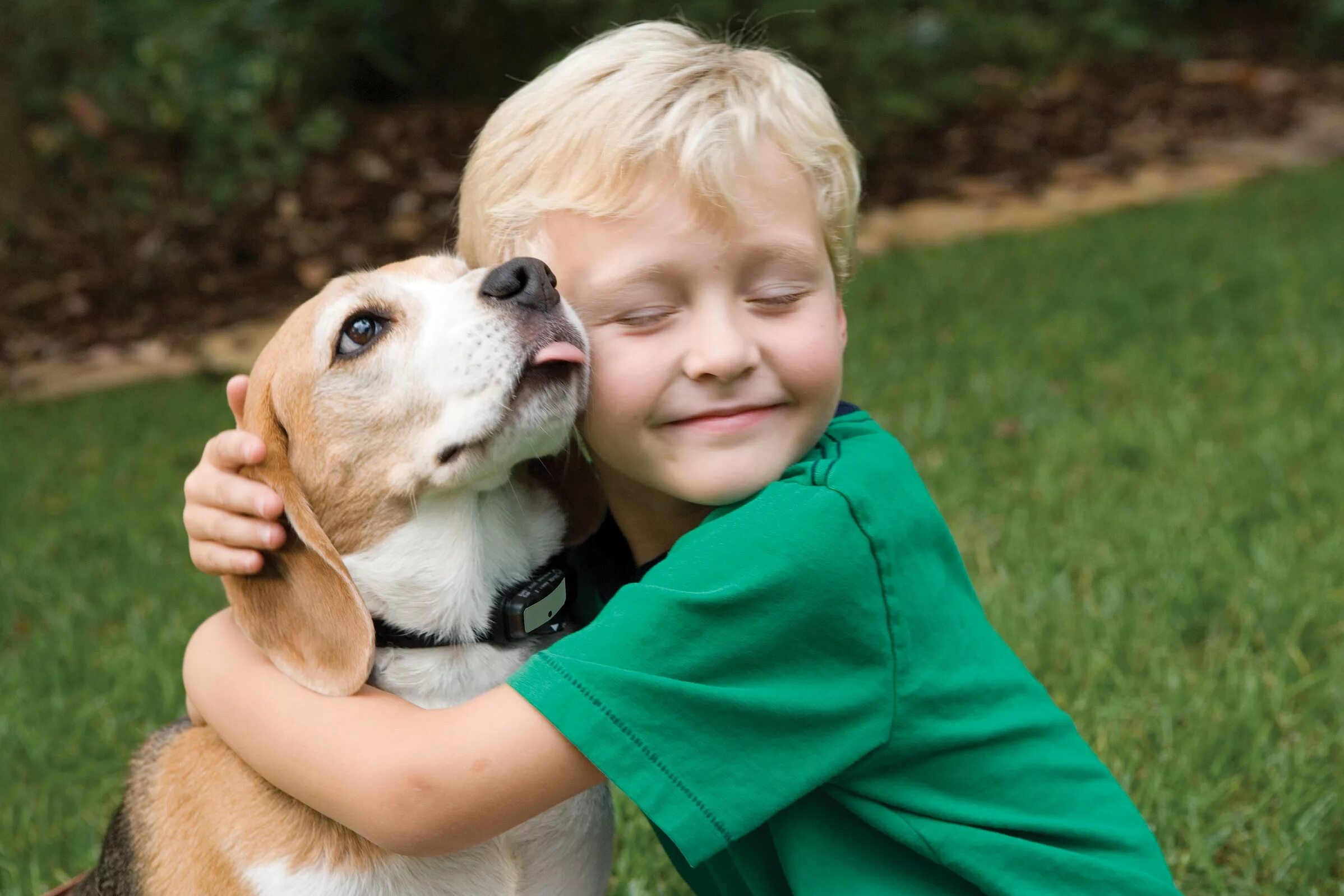 My pet dog has a. Домашние животные. Домашний питомец. Человек с питомцем. Дети с животными.