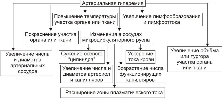Механизмы развития артериальной гиперемии патофизиология. Этиология артериальной гиперемии. Механизмы развития артериальной гиперемии патофизиология. Гиперемия этиология. Гиперемия этиология.