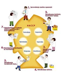 Принципы хассп