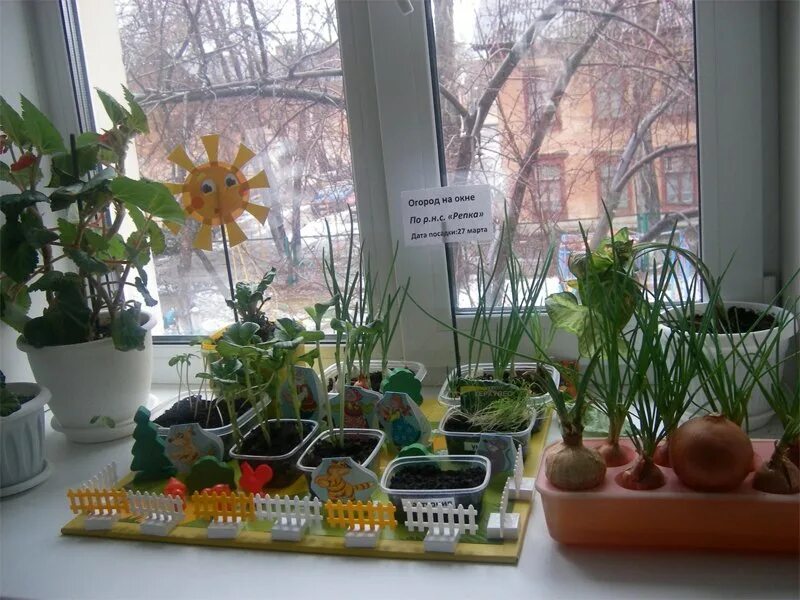 Стихотворение про огород. Забор для огорода на окне. Огород на окне песня детская. Огород на окне песня детская. Огород на окне песня детская.