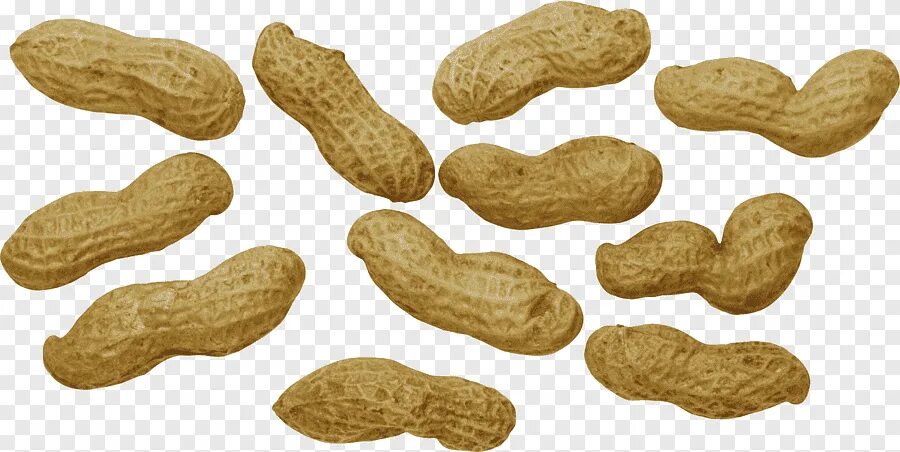 Peanuts 1