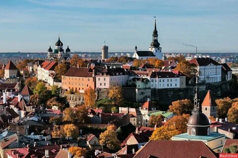 — Изменилось ли отношение к русскоязычному населению Эстонии после февраля