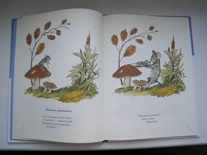 Книга пик