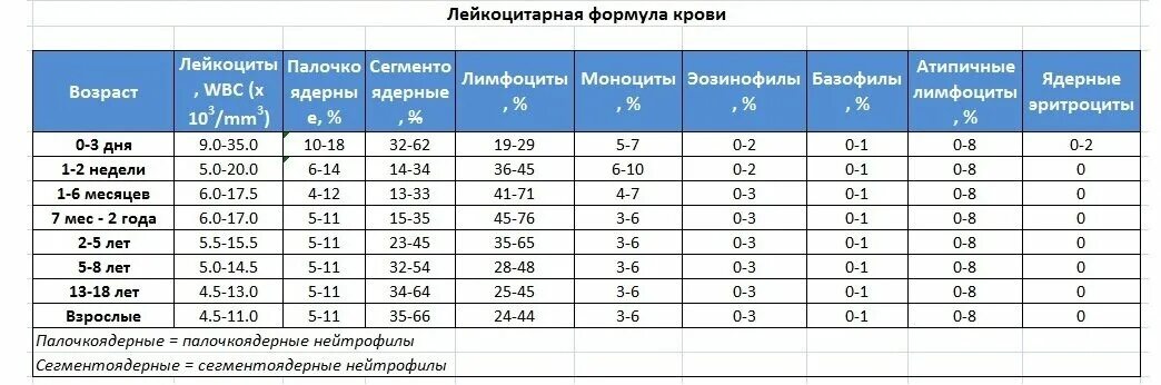 Норма лейкоцитов у новорожденных