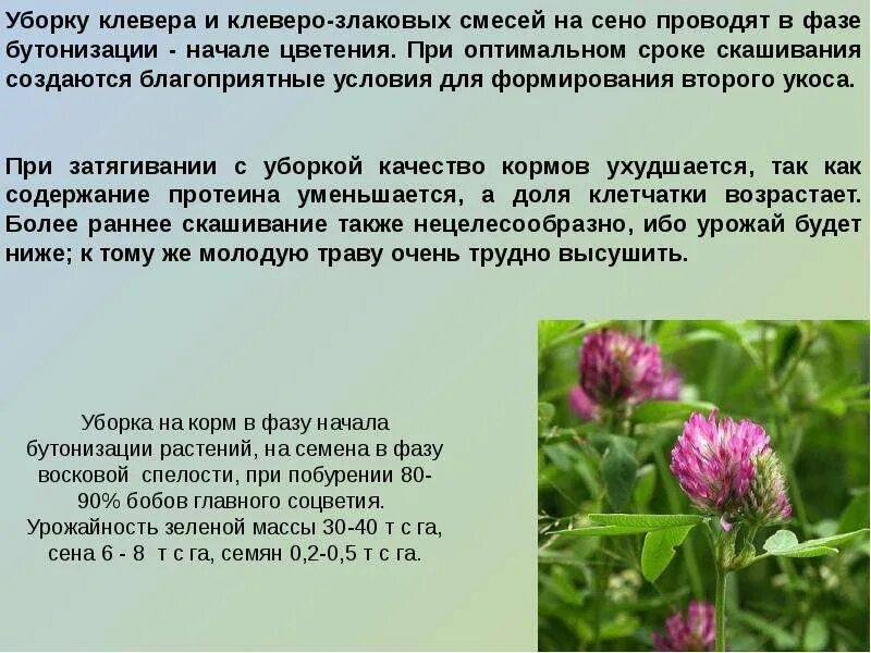 Конструктор программируемого квадрокоптера "Гаскар 4 Code" - Компания ПАРТНЕР Ку