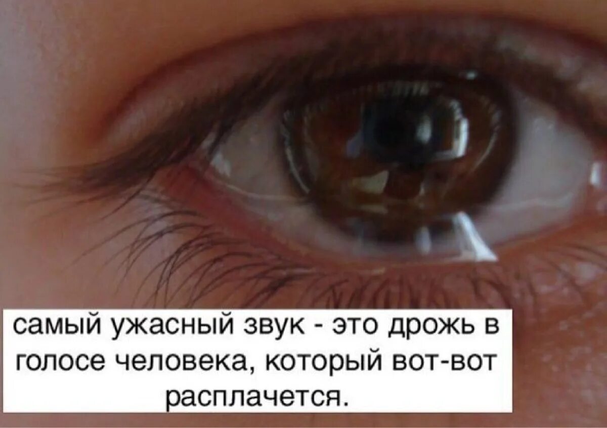 Правда если плакать глаза выцветут. Плачущий глаз Карий. Карий глаз со слезой. Карие глаза плачут. Заплаканные карие глаза.