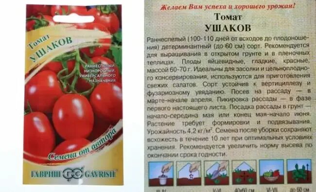 Томат Ушаков 0,3г Гавриш. Томат Нахимов Ушаков. Томат Ушаков характеристика и описание. Томат три сестры: характеристика и описание скороспелого сорта с фото. Спасская башня томаты отзывы описание