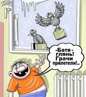 Грачи прилетели и охренели