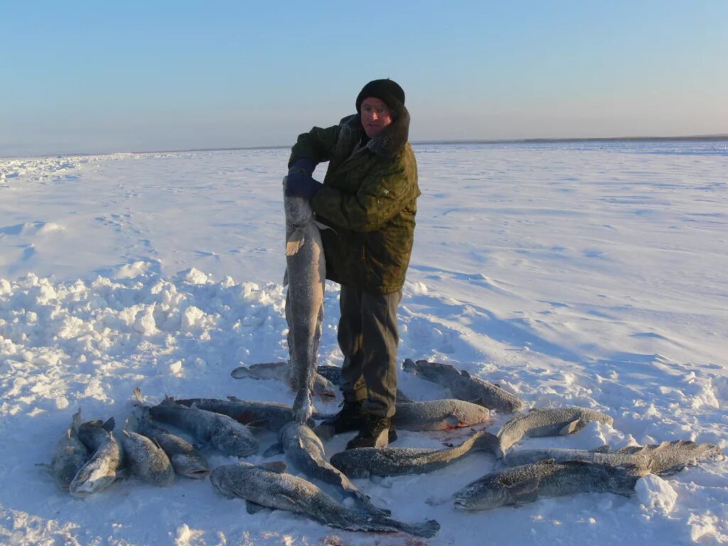 Зимняя рыбалка на налима. Зимняя рыбалка в Якутии на налима. Рыбалка на налима зимой. Налим улов. Налим на озерах