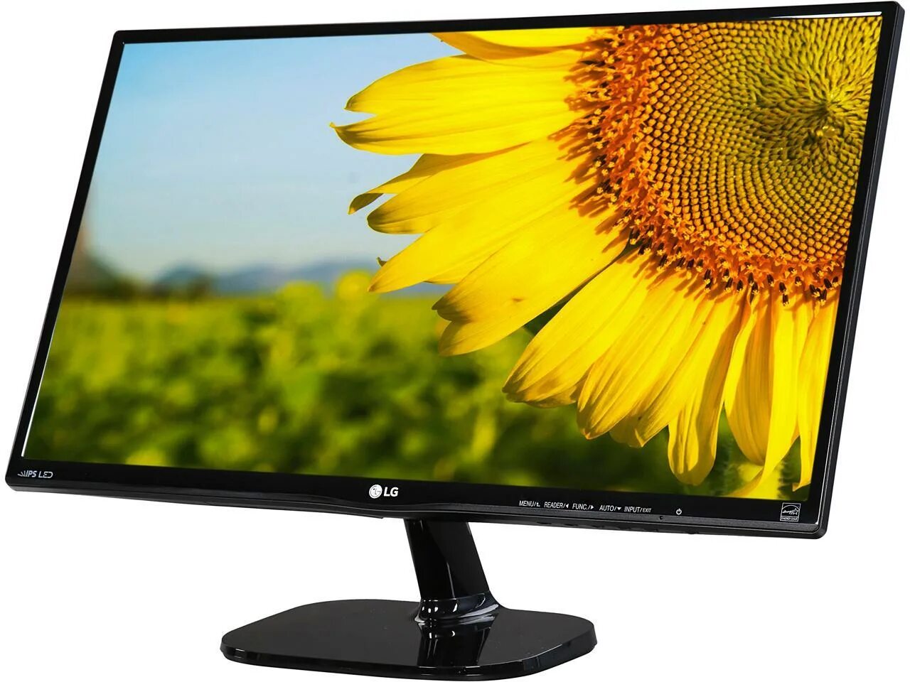 Lg 24 дюйма купить. LG 24mp. LG IPS 24. Монитор LG 24mp. Монитор LG 24 дюйма.