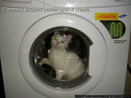 Прошу подойти