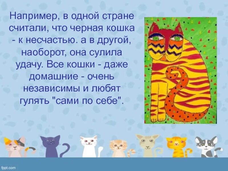 Пословицы о кошках. Знает кошка пословица. Коту Масленица поговорка. Поговорки про кошек