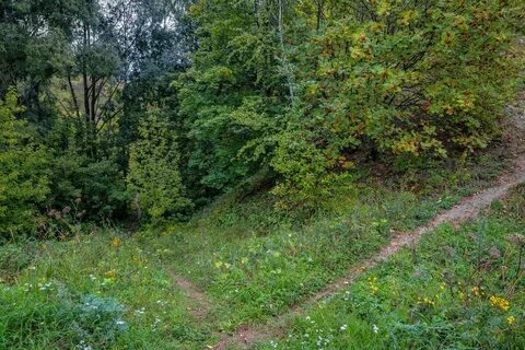 Самурай парк швейцария нижний