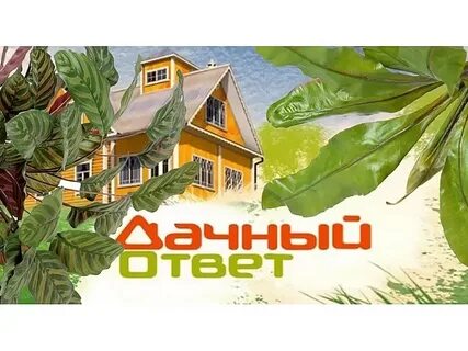 Вопросы дачи