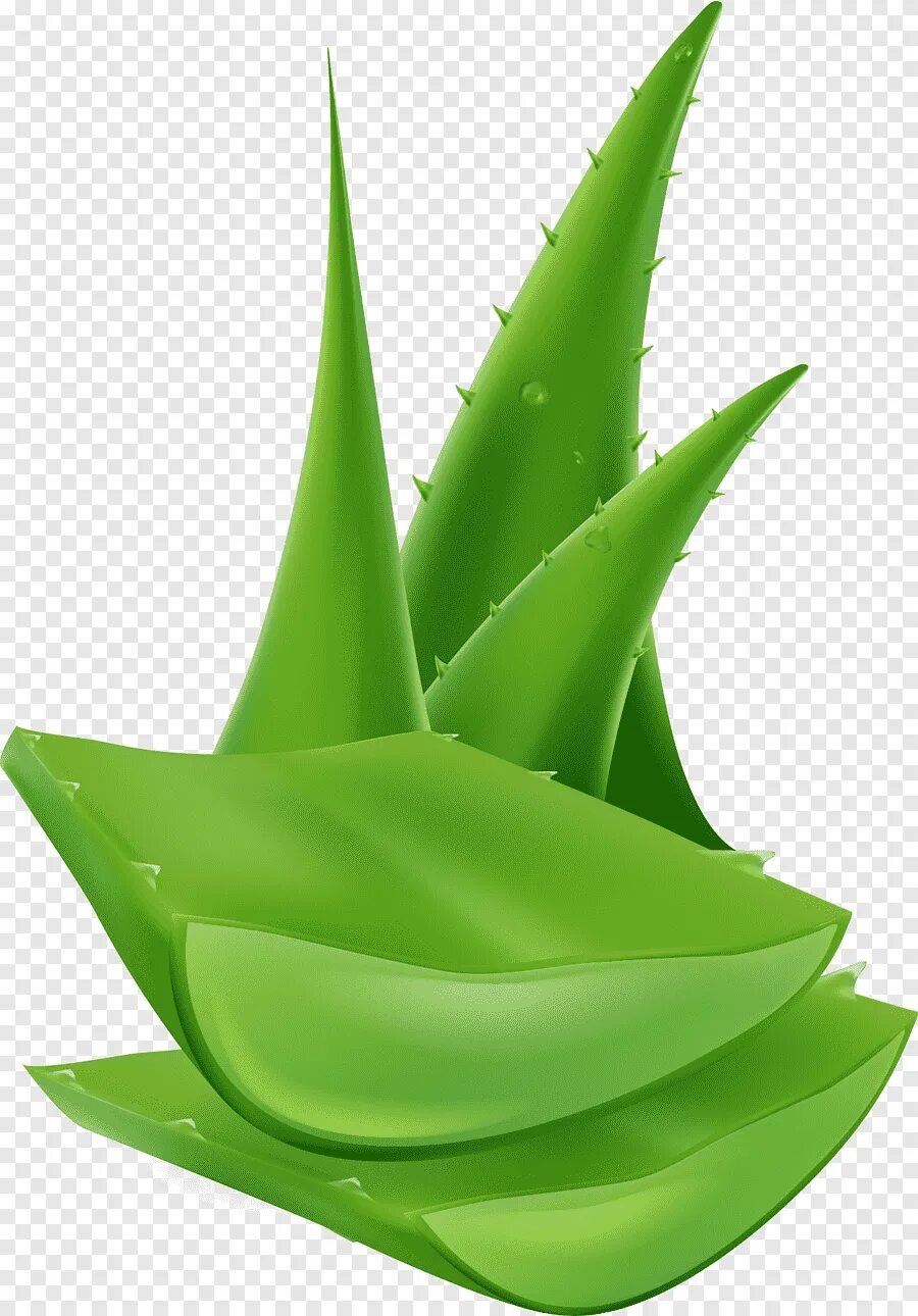 Aloe Vera. Гель Green Leaf алоэ. Green aloe