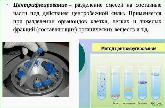 Разделение клетки под действием центробежной. Центрифугирование биохимических пробирок. Центрифугирование пробирок схема. Охарактеризуйте принцип метода центрифугирования. Центрифугирование в биологии это метод.