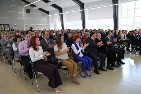 Нии ростов