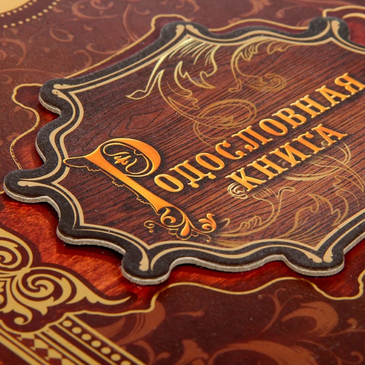 Книга история семьи. Родословная книга «перо». семейная история обложка. родословная книга с пером семейные традиции. книга семейная история.