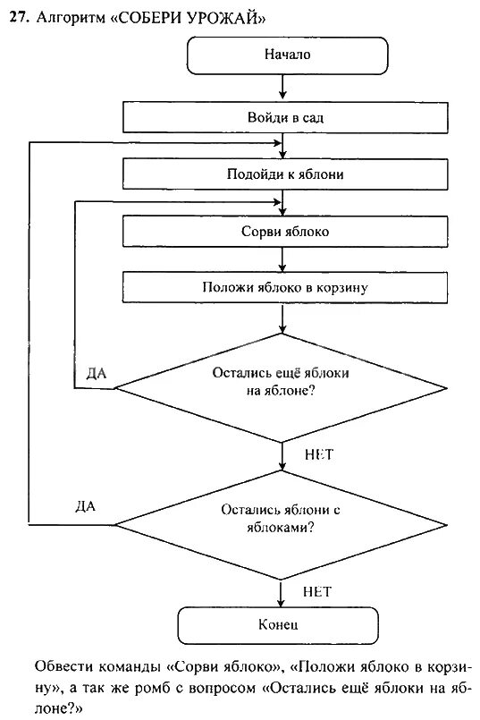 Решения информатика 3 класс. Алгоритм 3 класс Информатика задачи. Алгоритм по информатике 3 класс. Алгоритм задачи 2 класс Информатика. Алгоритм работы домашнего задания.