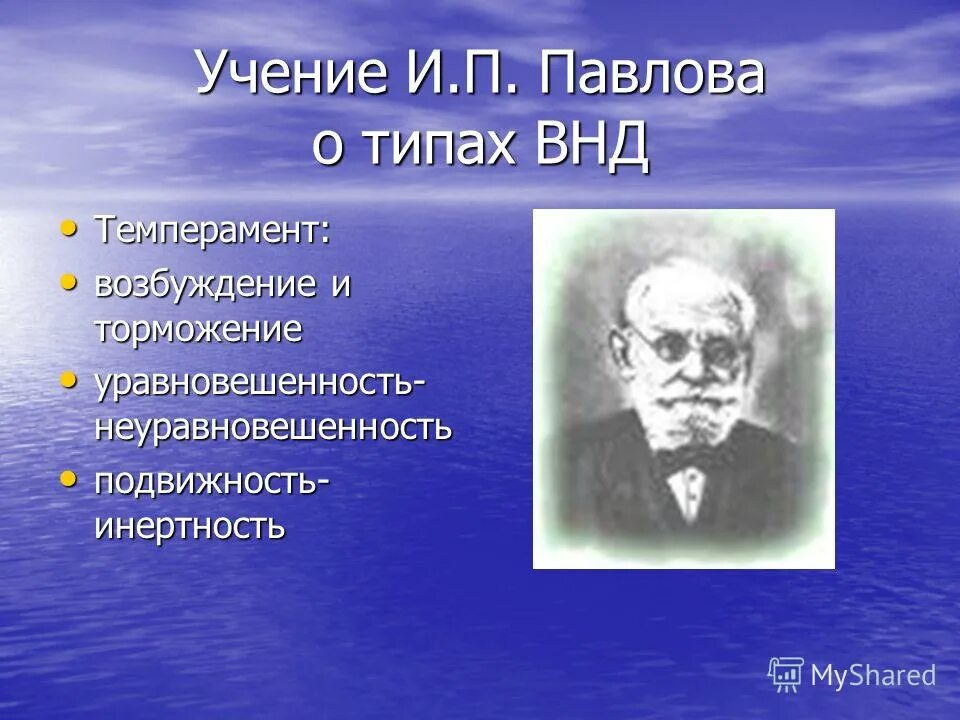 Основоположник темперамента. Гиппократ учение о 4 темпераментах. Историческое изучение темперамента. И п павлов темперамент. Исследователи темперамента.