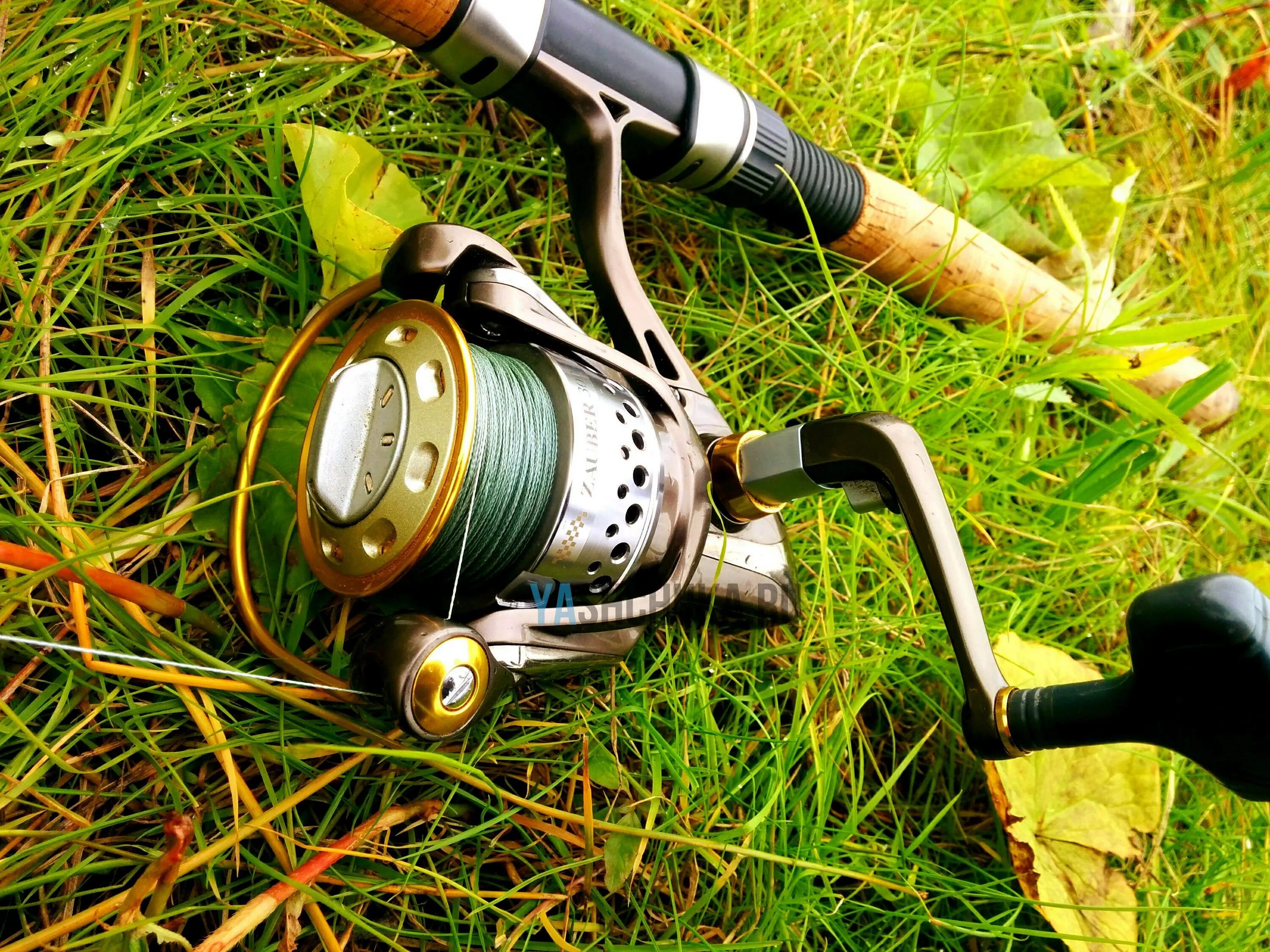 Лучший спиннинг для ловли щук. Катушка Lupe Fishing Reel lxc100l. Катушка Sony спиннинговая. Катушка рыболовная vit200 на удочке. Катушка на спиннинг ht200.